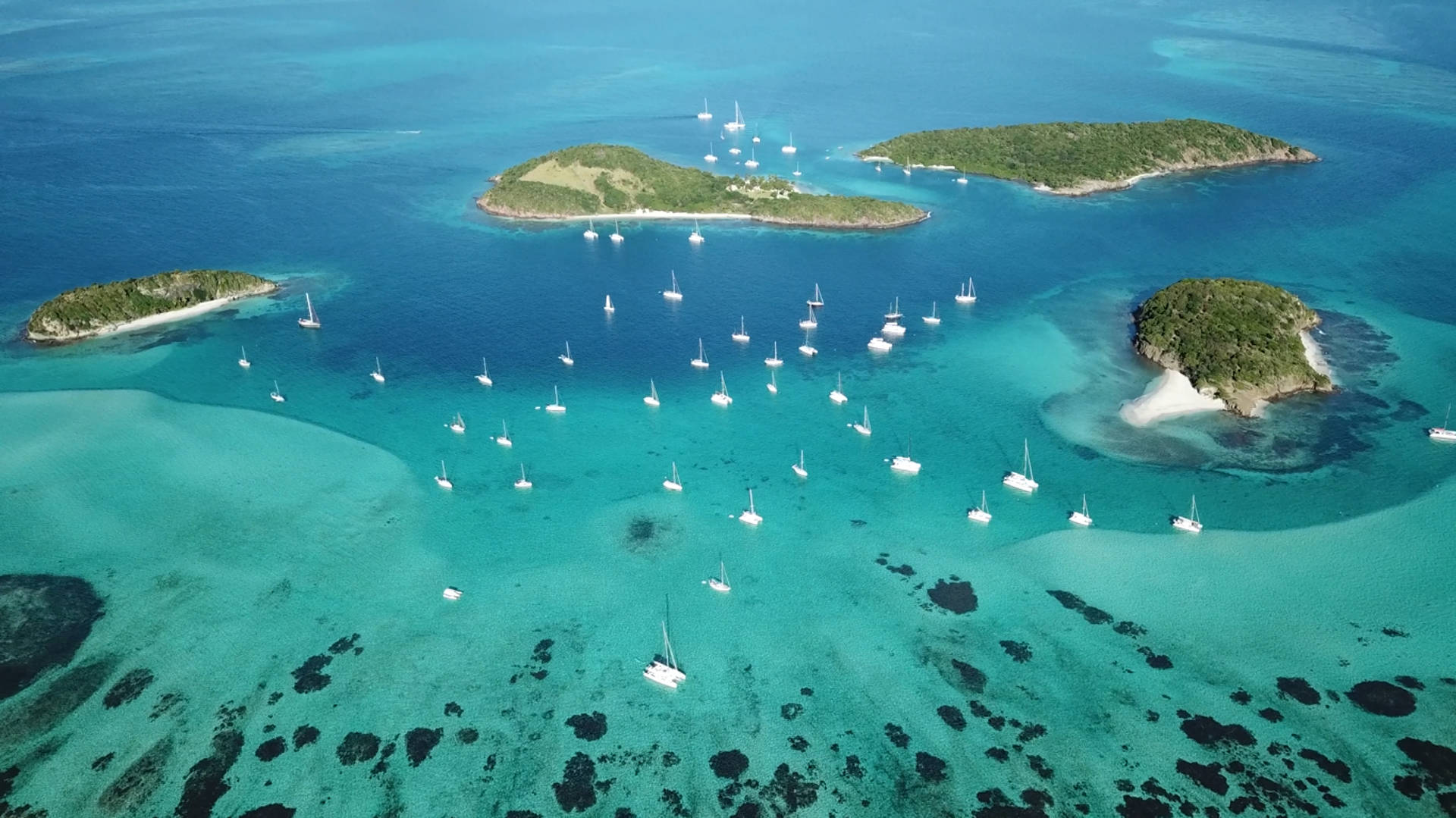 tobago cays grenadines